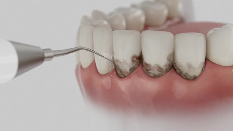 Reliable Dental contractor in Edgar County County, IL by Dentist Open Now